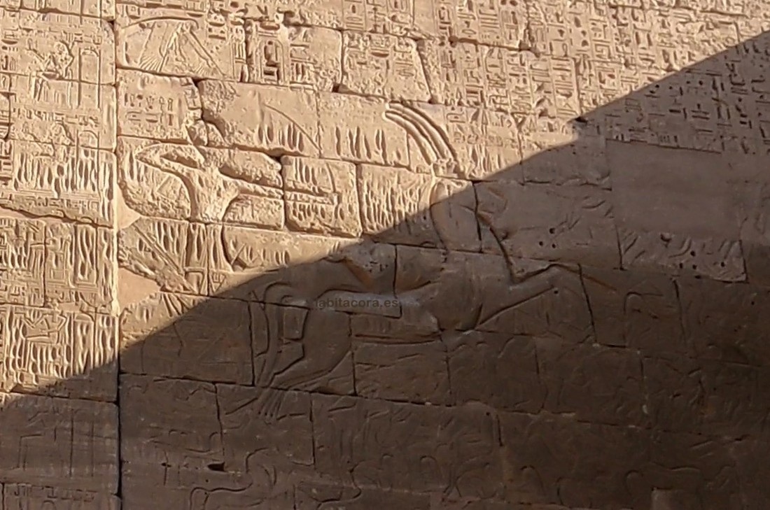 Ramsés III guerreando y mostrándose como vencedor en la parte interior del primer pilono en su templo de Medinet Habu en Lúxor, Egipto