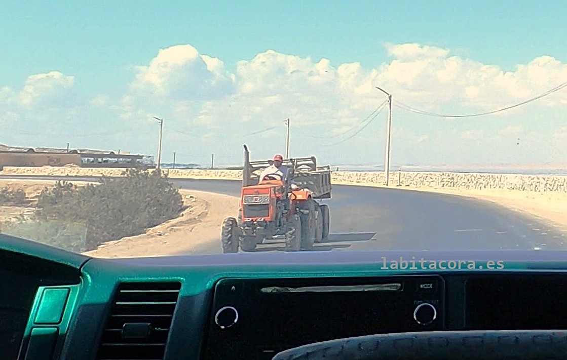 Tractor en el oasis de El Fayum, Egipto