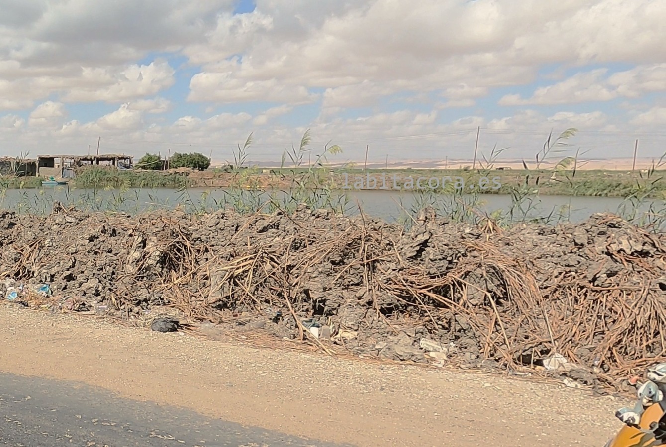En el oasis de El Fayum junto al canal de Bahr Yussef. Egipto.