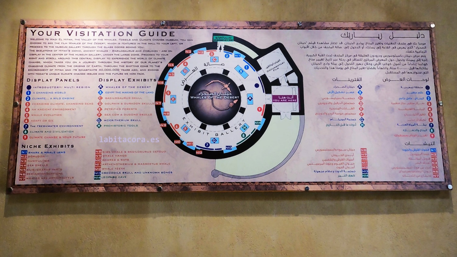 El plano del museo de Wadi El Hitan en El Fayum, Egipto
