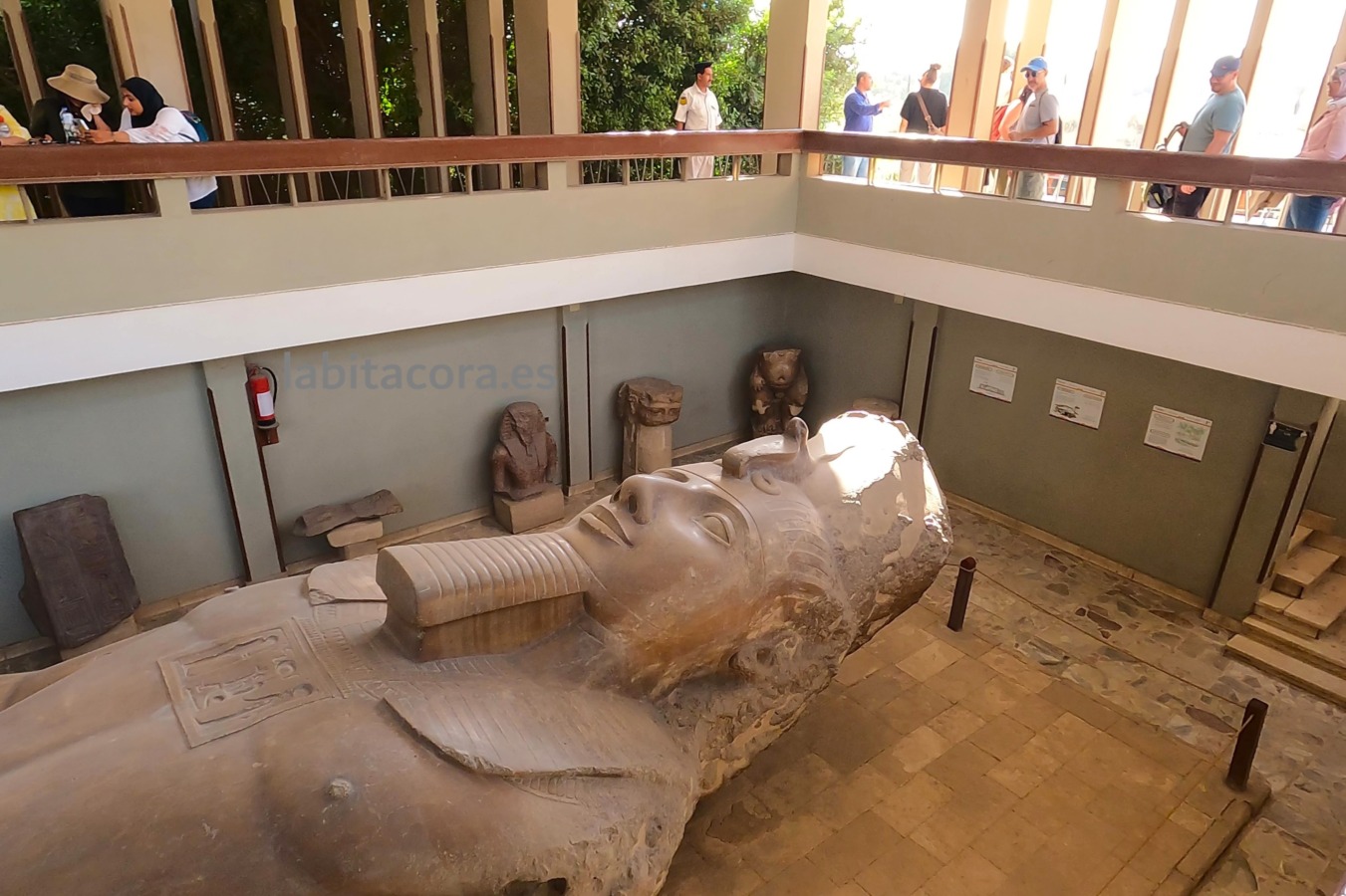 La cabeza del coloso de Ramsés II desde la primera planta en Menfis, Egipto