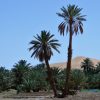 El oasis con palmeras al pie del Sahara marroquí.