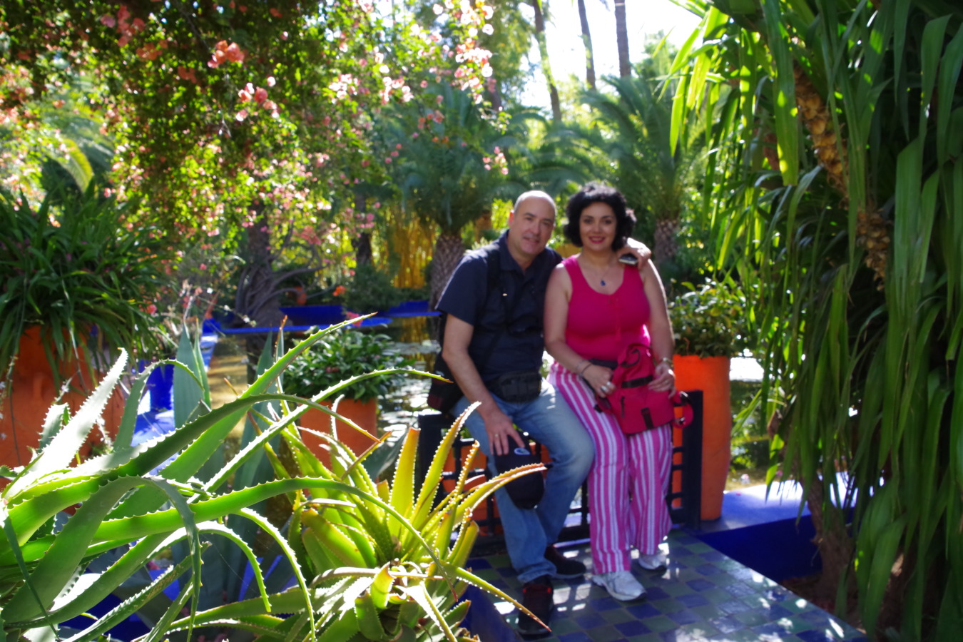 El estanque central del Jardín Majorelle de Marrakech. Marruecos 
