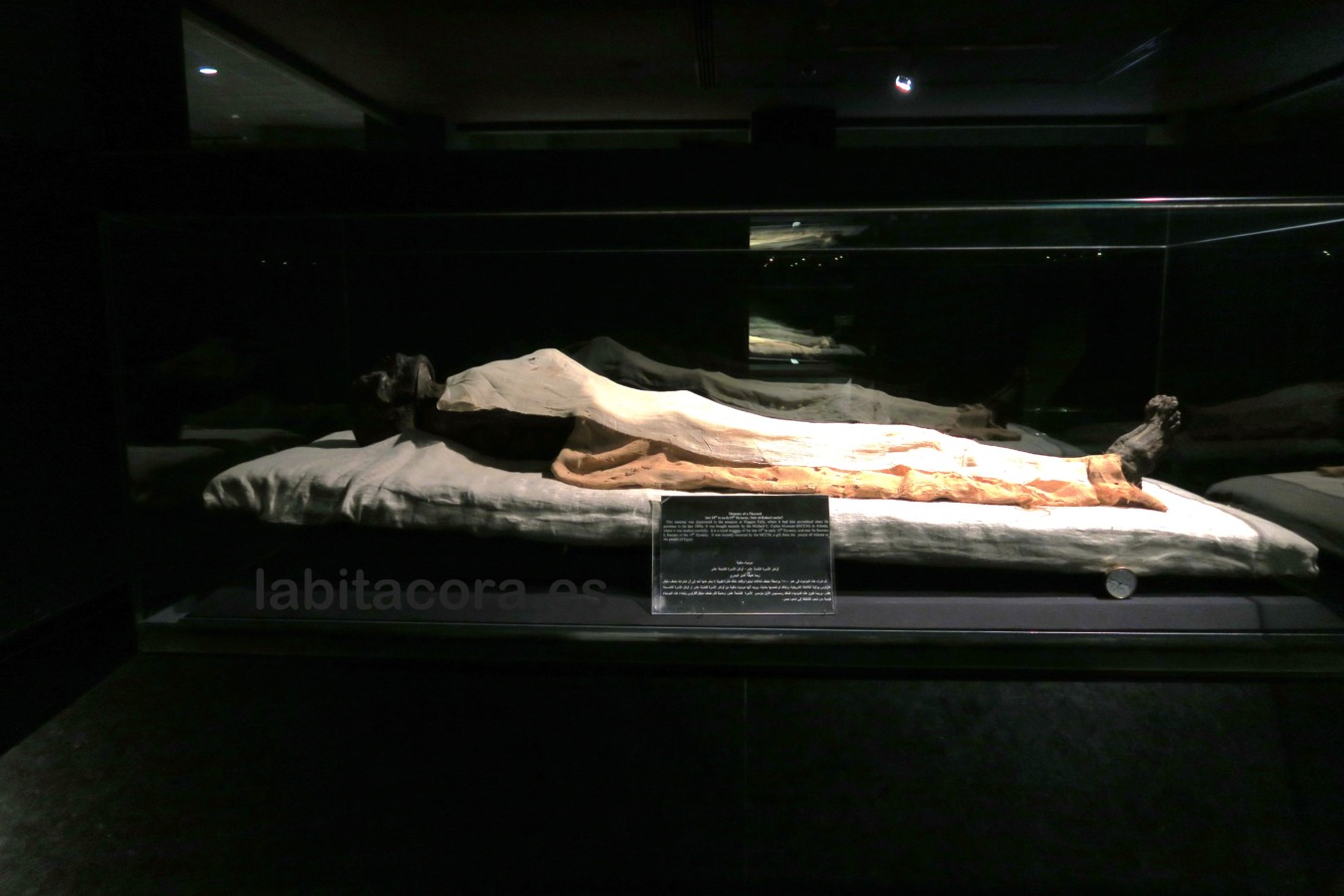La viajera momia de Ramsés I, que fue devuelta por un museo de Atalanta en el Museo de Arte Antiguo de Lúxor, Egipto