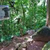 La Piedra Magnifica es uno de los petroglifo de la Finca Magdalena en Ometepe,