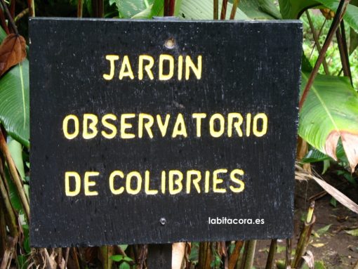 En el Parque de Santa Helena. Costa Rica 