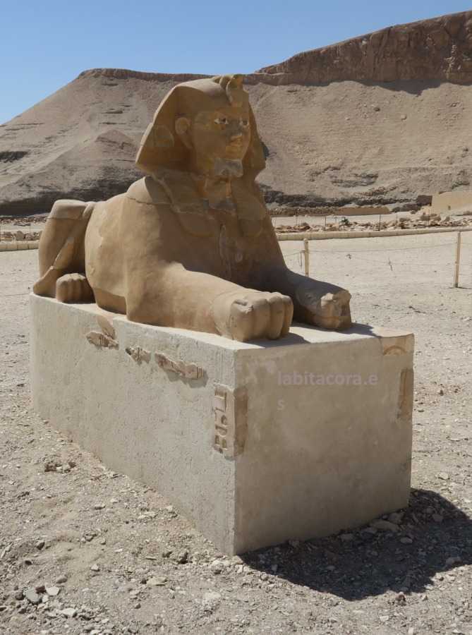 Restos de una de las esfinges en la que en su día fue una avenida desde embarcadero hasta el templo funerario de la reina faraón Hatshepsut. Lúxor.