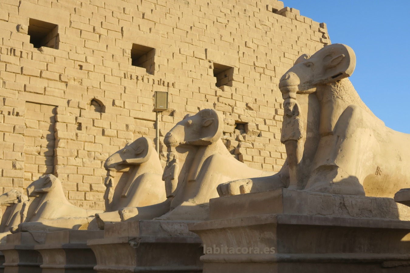 Las esfinges con la cabeza de carneros que representa al dios Amón en la entrada del primer pilono de los templos de Karnak, Lúxor. Egipto.
