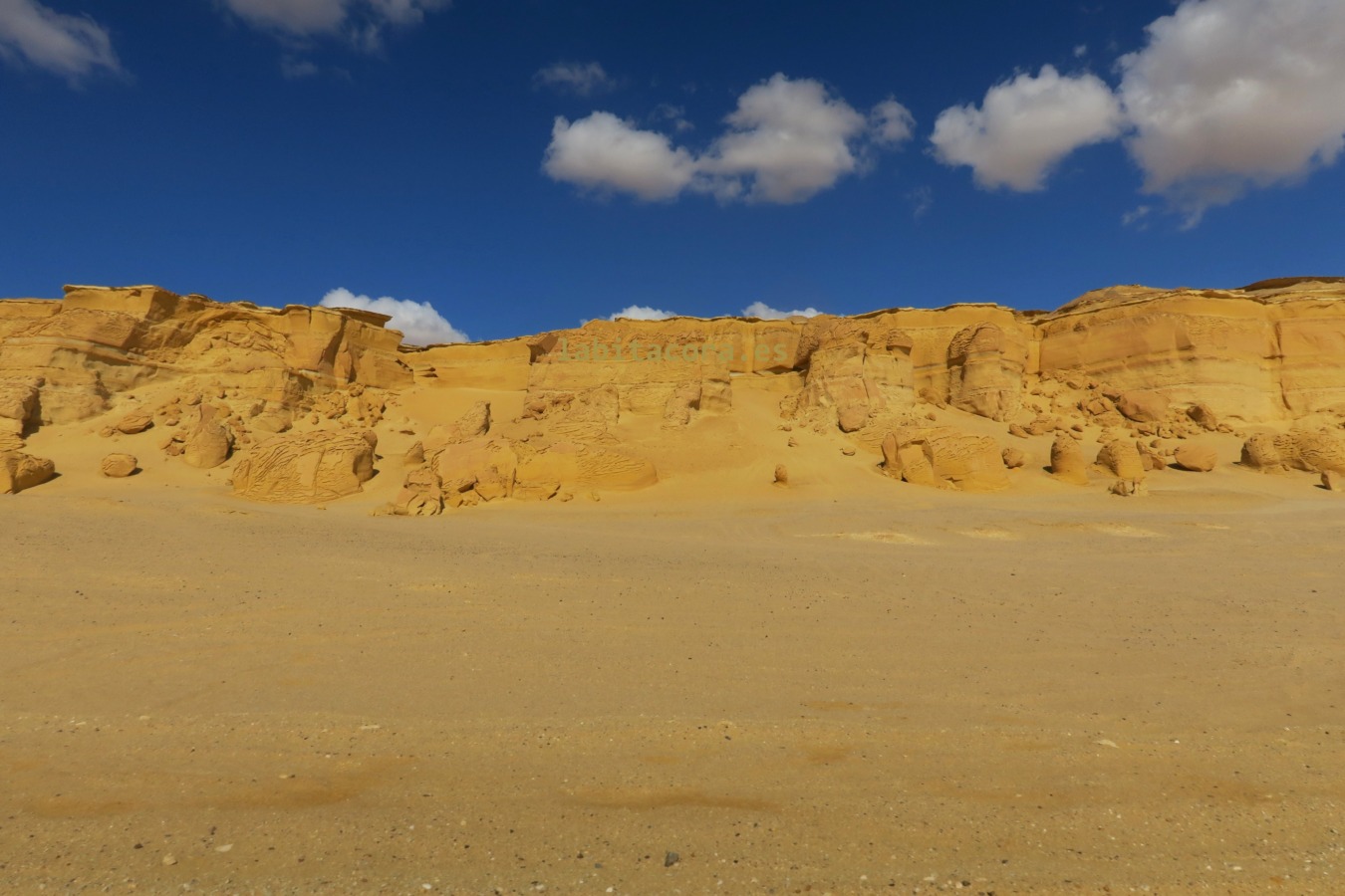 En Wadi El Ryan de camino a Wadi El Hitan a en El Fayum. Egipto