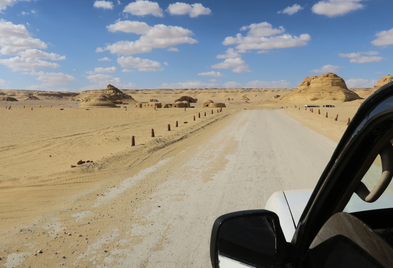 Poco antes de llagar al Valle de las Ballenas (Wadi El Hitan) en El Fayum. Egipto 