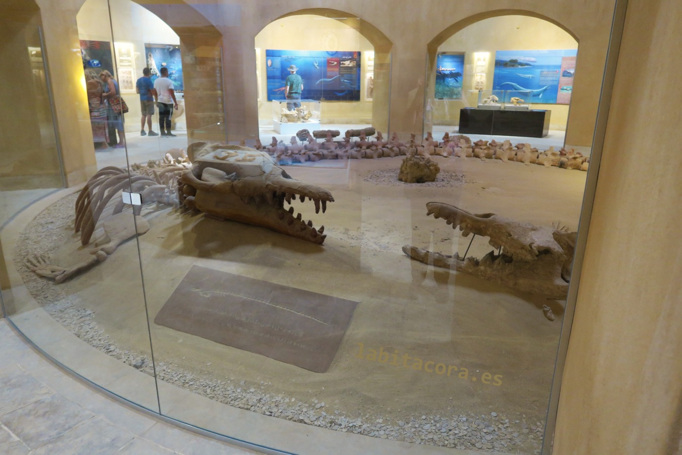 El museo de Wadi El Hitan en El Fayum, Egipto