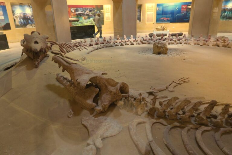 El museo de Wadi el Hitan de Fayum, Egipto