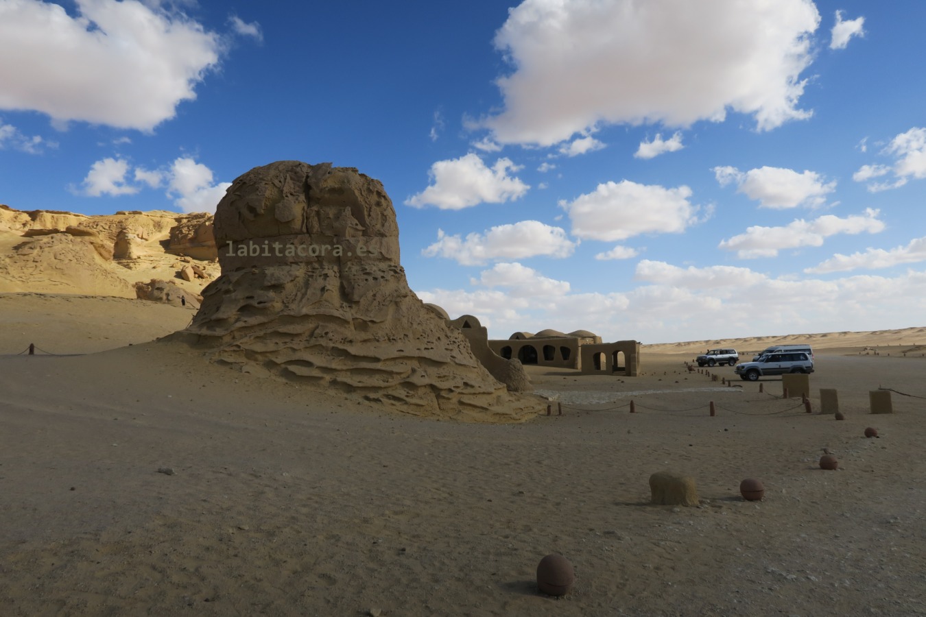 El Valle de las Ballenas o Wadi El Hitan en El Fayum. Egipto