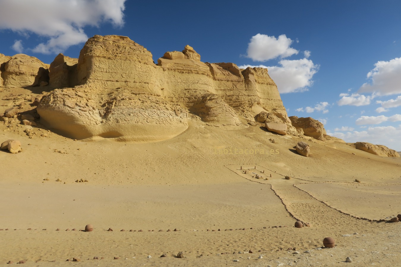 El Sireno en el Valle de las Ballenas, Wadi El Hitan en El Fayum, Egipto.