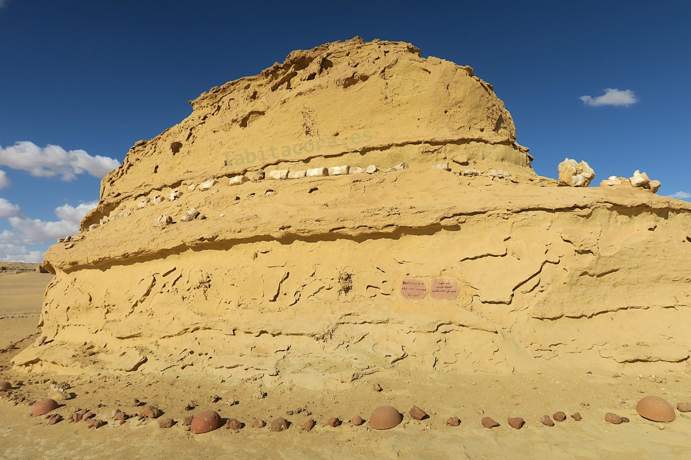 Una de las colinas donde esta incrustadas los huesos de Wadi El Hitan en El Fayum, Egipto