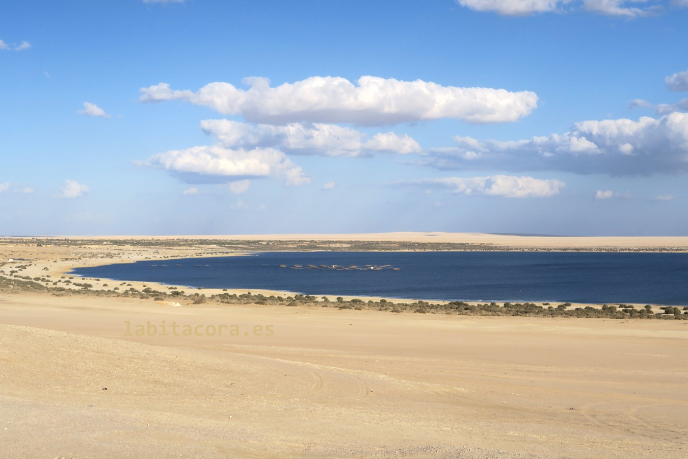 Las instalaciones de piscicultura en uno de los lagos artificiales en la reserva natural de Wadi El Rayan, en El Fayum. Egipto