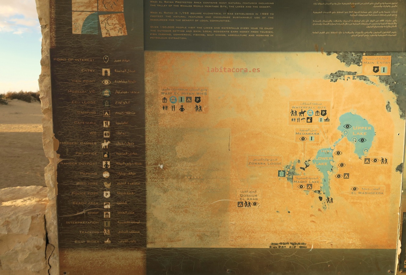 Cartel informativo de todas las actividades que se pueden realizar en la reserva natural Wadi El Ryan en El Fayum. Egipto