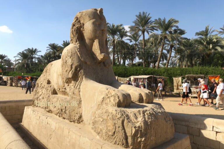 La esfinge de la faraón Hatshepsut en Menfis, El Cairo. Egipto.