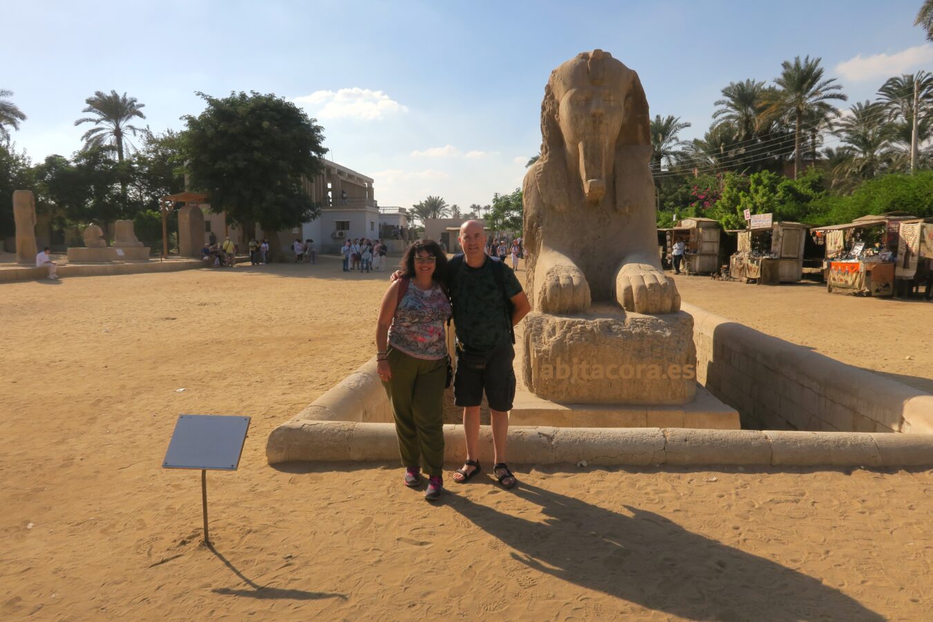 En el Museo al Aire Libre de Menfis junto a la esfinge de la faraón Hatshepsut en Menfis, El Cairo. Egipto.