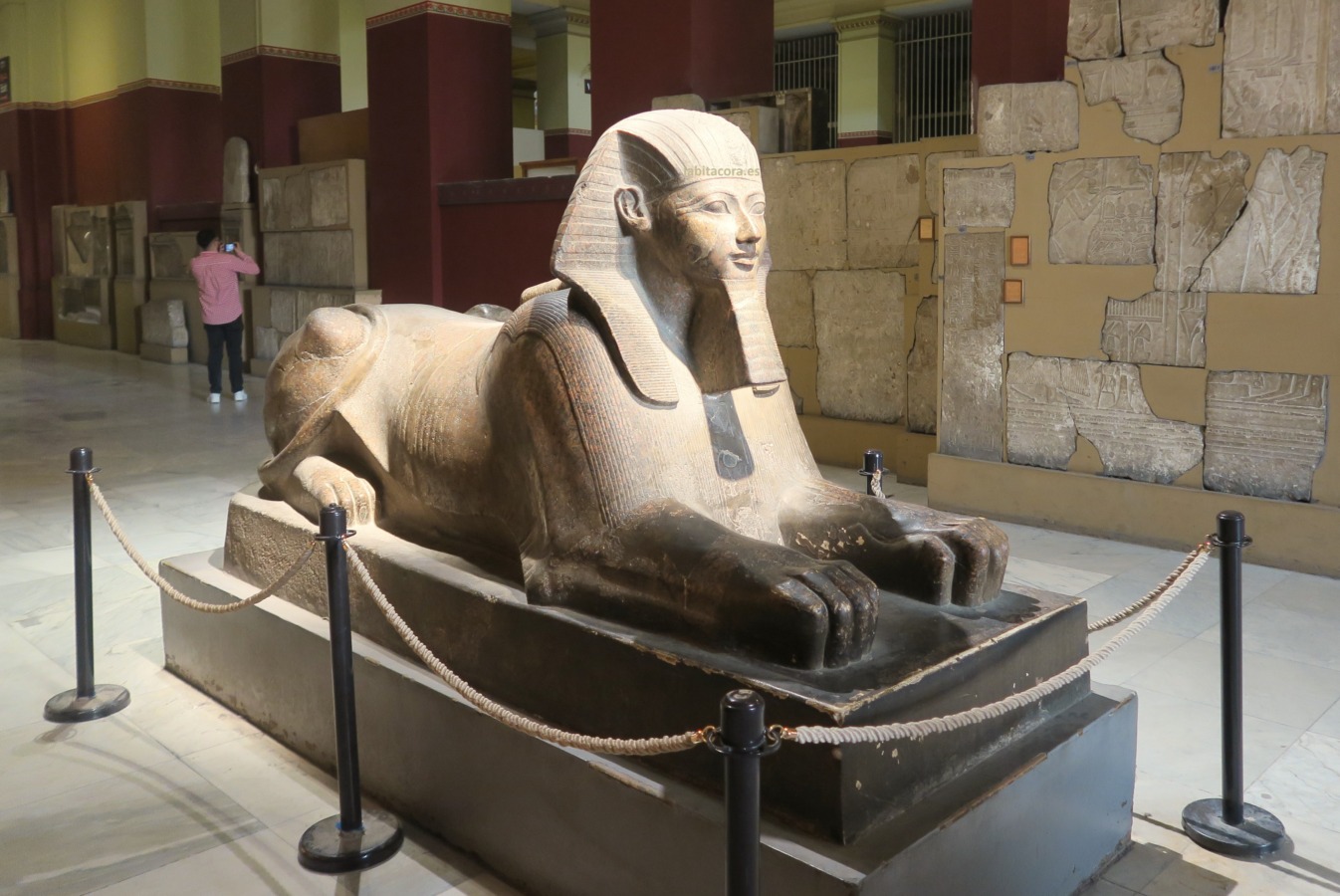 Esfinge de la faraón Hatshepsut en el museo del Cairo, Egipto.