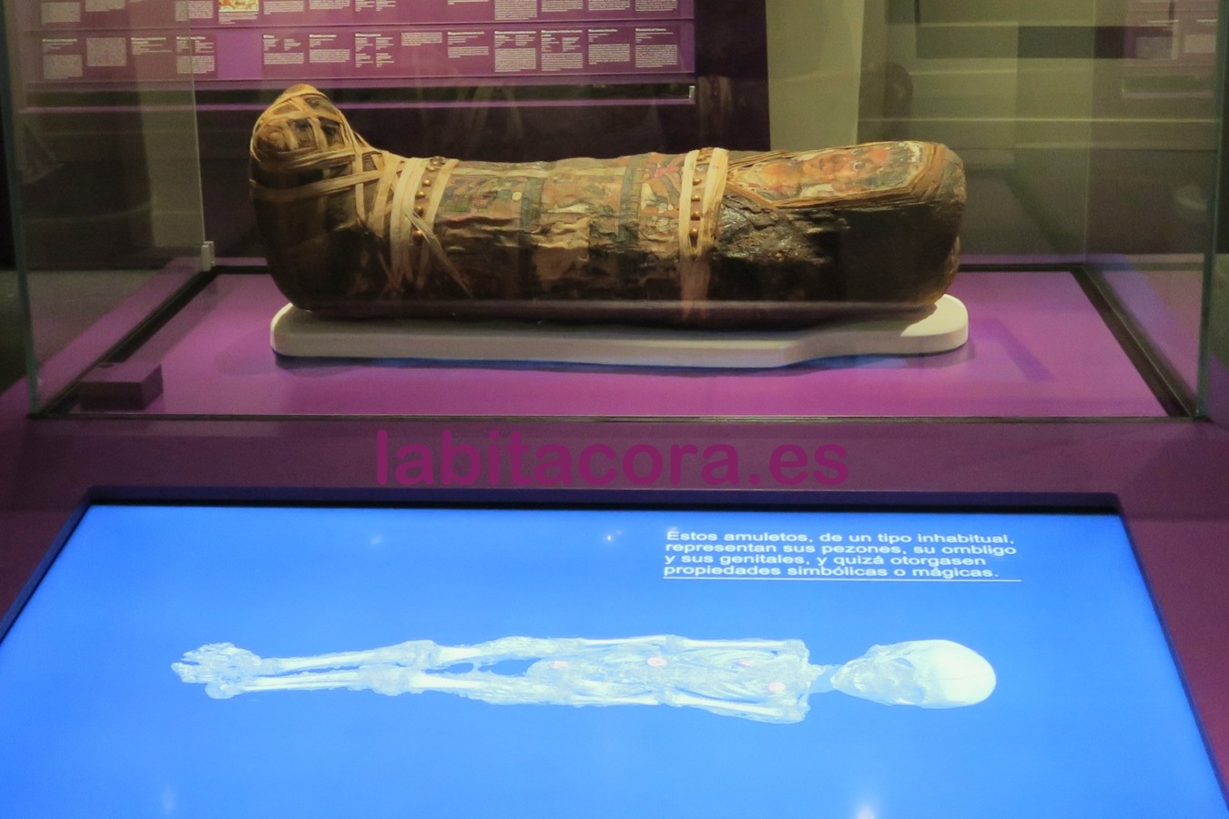 Momia de un niño de la época tolemaica de la exposición de Momias de Egipto, redescubriendo sus vidas de la fundación Caixa Forum en Valencia, España