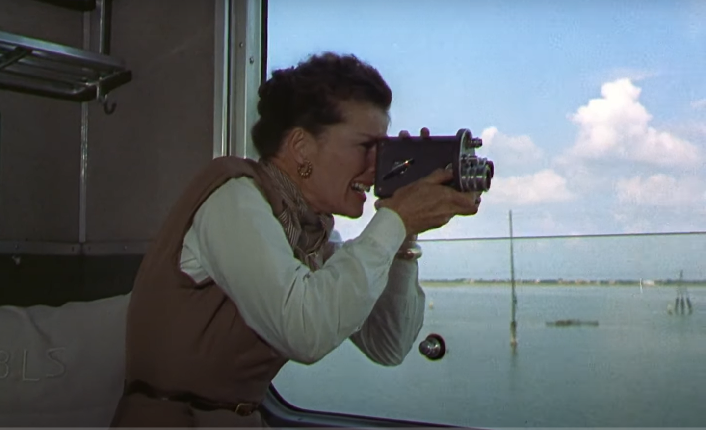  la película Locuras de Verano del 1955